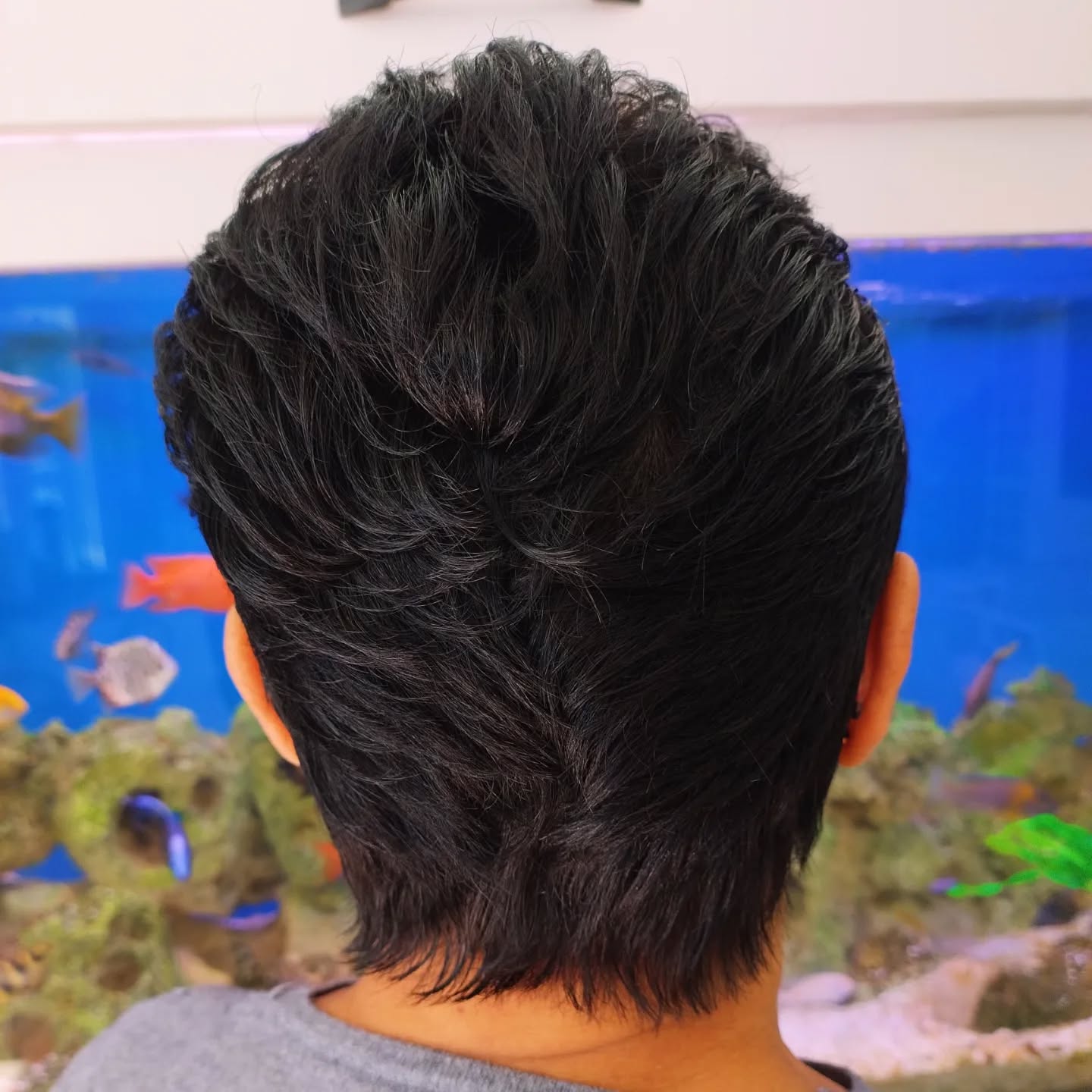 Corte de Cabelo no Boqueirão | Studio Chagas em Praia Grande Corte de Cabelo no Boqueirão | Studio Chagas em Praia Grande
